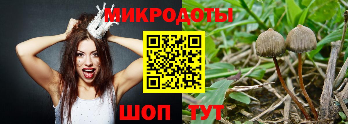 Галлюциногенные грибы Cubensis Бийск