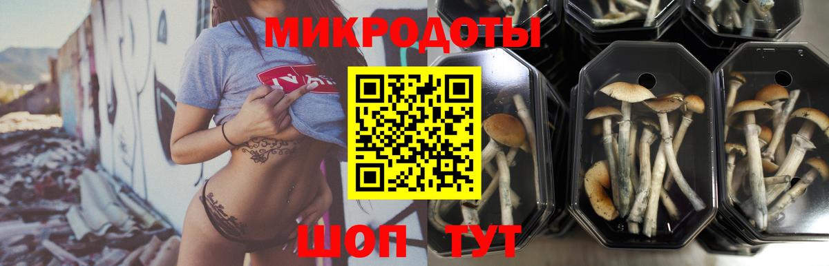 Галлюциногенные грибы мухоморы  что такое наркотик  Бийск  Вход с VPN  Псилоцибиновые грибы ЛСД 